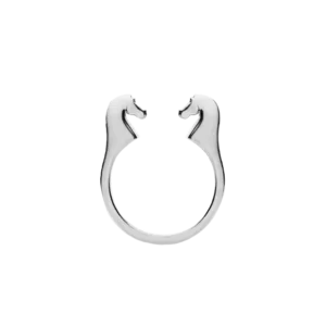 Кольцо Кони